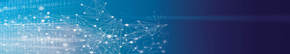 Data Collection and Preparation / Database and SQL